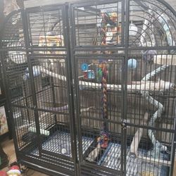 Double Cage, King’s Cage