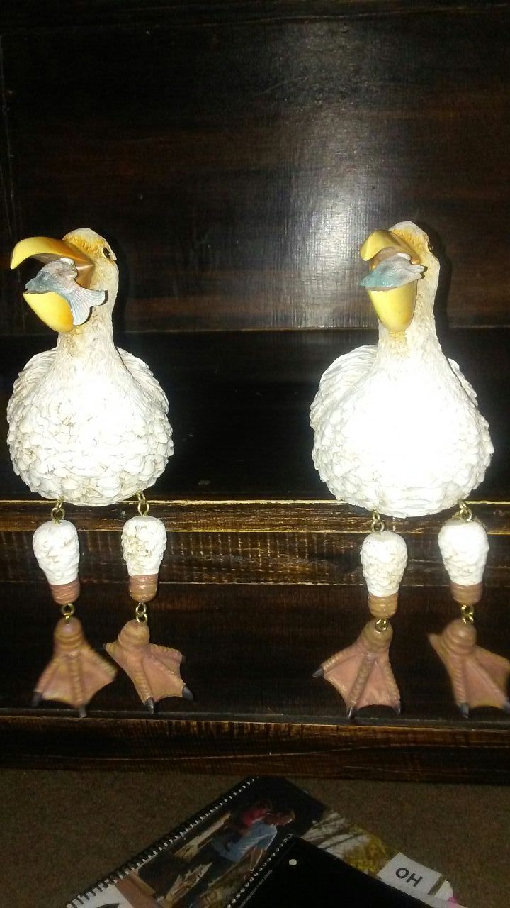 These Sitting ducks?
