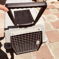 Dog House