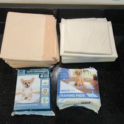 31 Dog Training Pads: 18 Large Pads 22X22” in Bags & 13 XLarge Loose Pads 26x32”