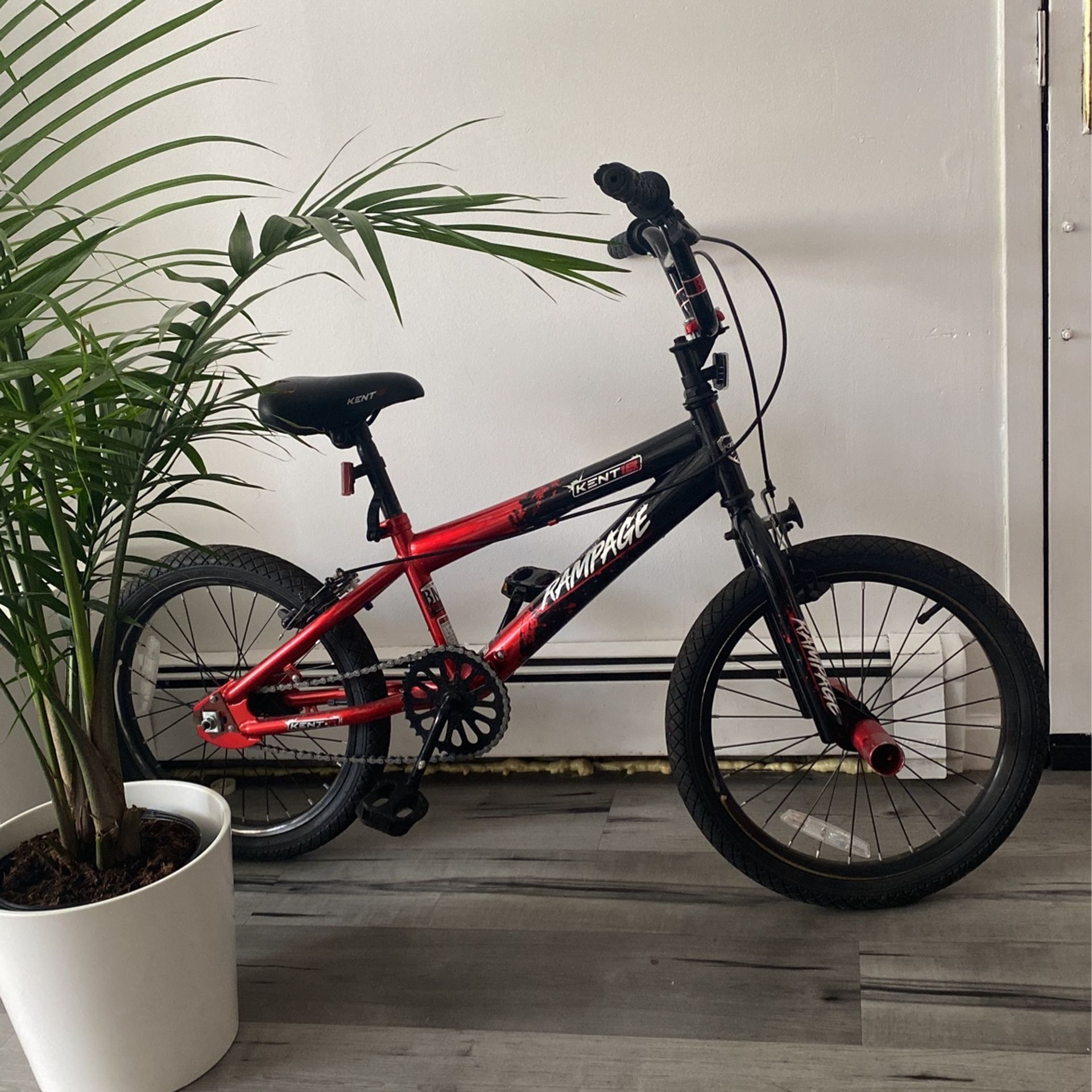 Bicycle Kids (4-12 Yrs Old)