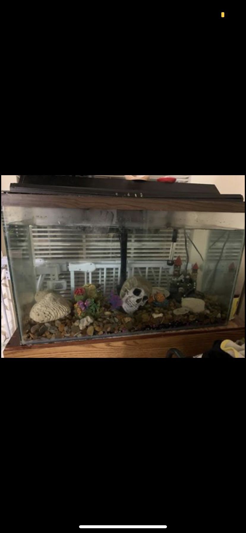 Fish tank with stand only!