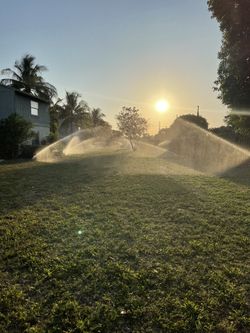 Sprinkler guy