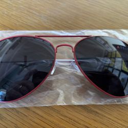 Delta Airlines Aviator Sunglasses 