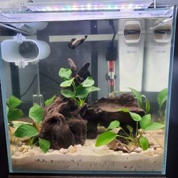 7 Gallon Rimless Fish Tank Cube 
