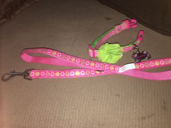 Collar & Leash