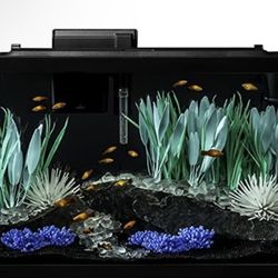 Tetra Color fusion Aquarium 20 gallons