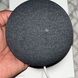 Google Nest Mini