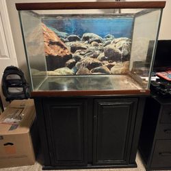 75 Gallon Fish Tank With Stand
