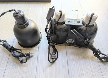 Set of Reptile Lamps