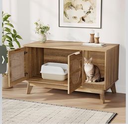 Natural, Modern Rattan Cabinet