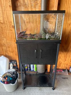 10 gallon aquarium with stand and accessories