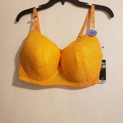 Golden Yellow Lace Everyday Sexy Bra New