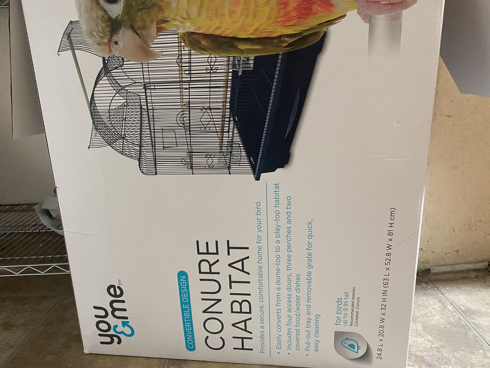 bird cage