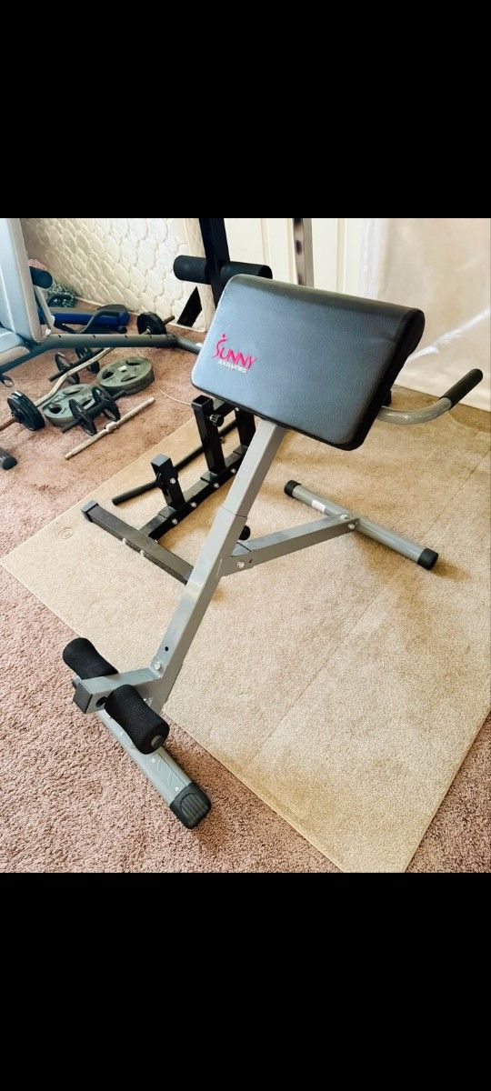 Gym Hypertension Seat for back and abdominal exercises