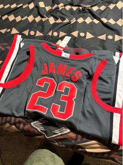 LeBron James buckeye jersey