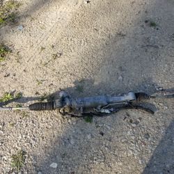 LEXUS RACK N PINION ELECTRIC 