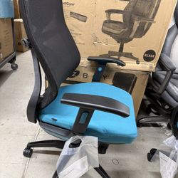 Beautyrest Duo-EX Ergonomic Mesh Swivel Computer Chair, Teal 