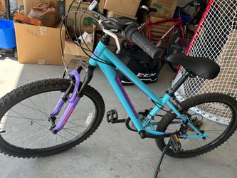 Pueblo 24 mountain bike