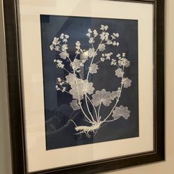 Framed Artwork (set of 2)