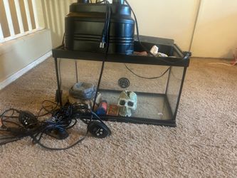 A cheap option to a good tank set up lizard, frog, salamander