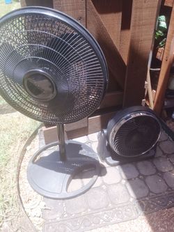 Fans $30 each