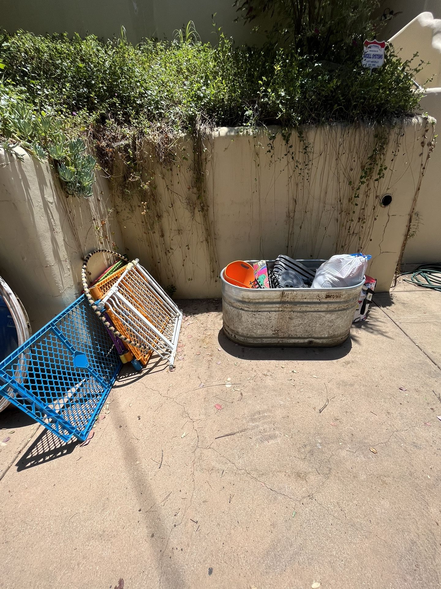 Free Boys 3-5 Toys & Clothes