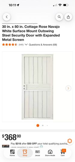 Security door