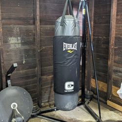 Punching Bag With Kick Mat, Stand And Speed Bag