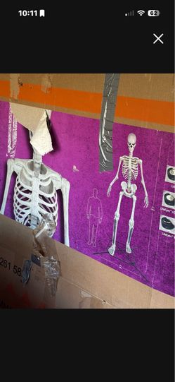 Halloween decor