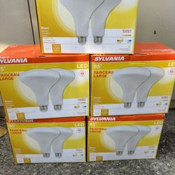 Dimmable Light Bulbs