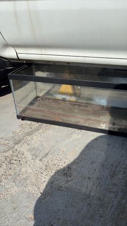tank no lid