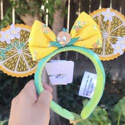 Orange Bird Ears