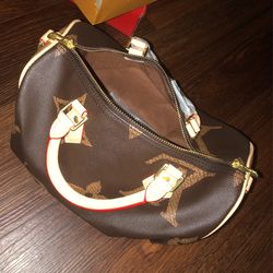LV Purse 