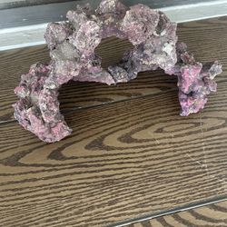 Saltwater Purple Cave 