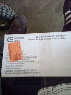 13in Flushmount Twin Pack