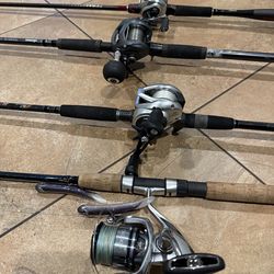 Rods and reels (Daiwa, phenix, shimano, okuma)