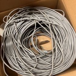 Network Cable