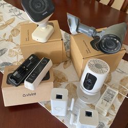 Vivit cameras