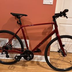 Trek Fx 1 