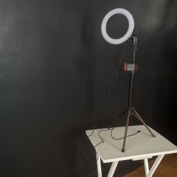 Media Lamp - Metal with Round Fluorescent Bulb