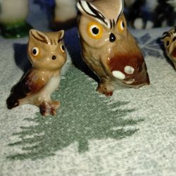 Super Cute Owls And There Is One Baby One