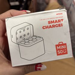 Smart Charger Rechargeable Batteries 