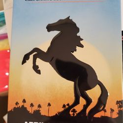 1 Stagecoach GA pass