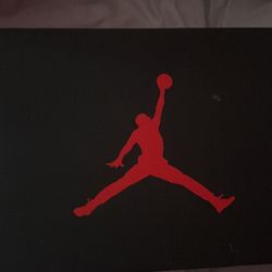 AIR JORDAN 5
