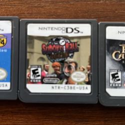 Nintendo DS Games 