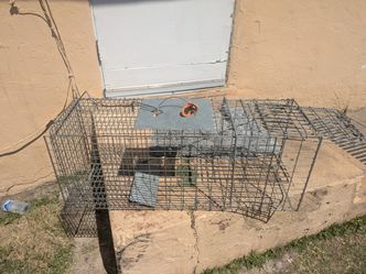 Animal Trap/Cage
