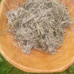 Organic Dired Wormwood 