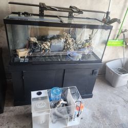 75 Saltwater Setup 