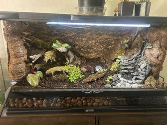 Terrarium